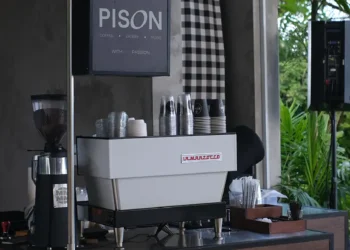 Pison Indonesia