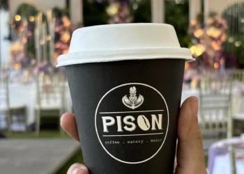 Pison Indonesia